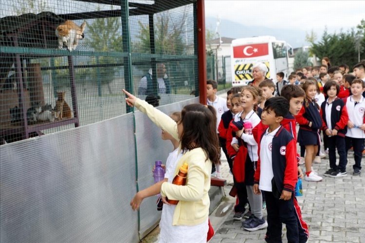Bursa İnegöl'deki barınağı ayda 400 kişi ziyaret ediyor